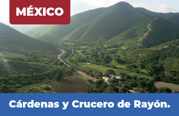 Cárdenas